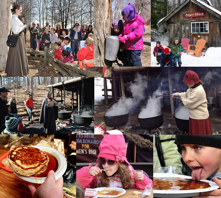 加拿大旅游带什么礼物回来,加拿大有什么好的特产