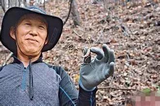 韩妆中的几个精华,韩妆化妆品最好的精华