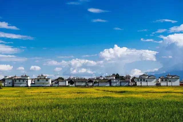 在洱海住了以后去回大理住划算吗,在洱海住酒店