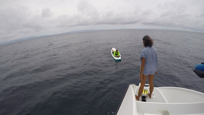 菲律宾潜水游记 (回忆菲律宾潜水的时光)