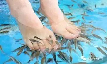 真相如此残酷！通过这种小动物按摩治脚气？小心患上皮肤病！