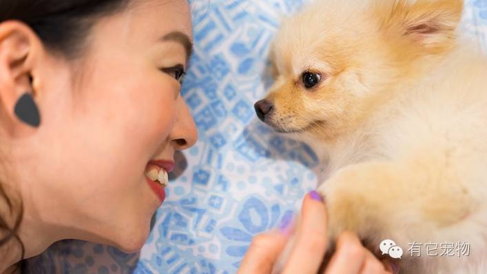 明明可以靠脸吃饭偏偏要靠球技,明明可以靠脸吃饭却偏偏要靠实力