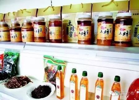 脱贫路上巾帼致富先锋,脱贫攻坚巾帼英雄