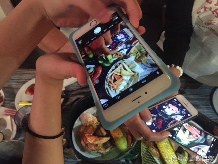 野鹅旅行,野鹅自驾无人区