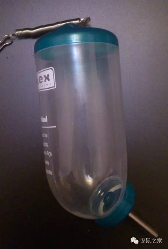 豚鼠各类饲养装备优缺点汇总之上篇