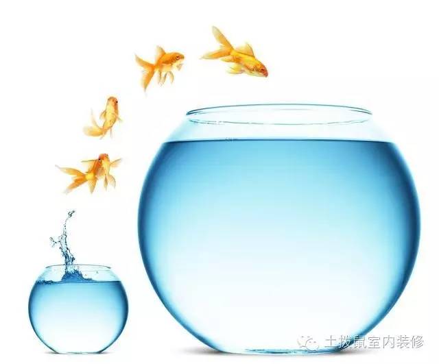 家中招财摆件摆放位置有哪些忌讳,家里招财摆件摆放位置