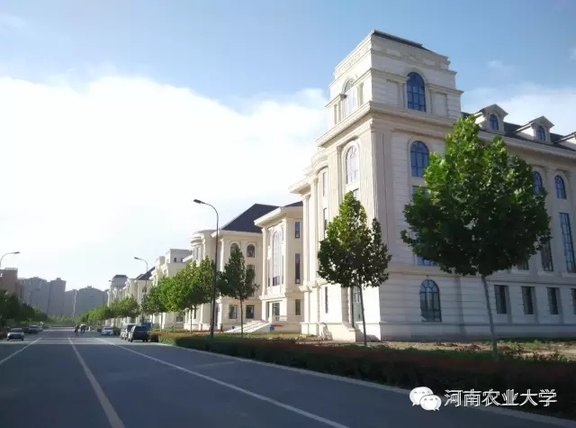 特别策划三分钟过后，农大小石榴马上开挂成老鸟！