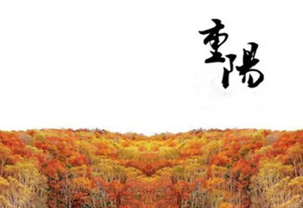 各地重阳节的风俗有哪些,全国各地重阳节有哪些民俗活动