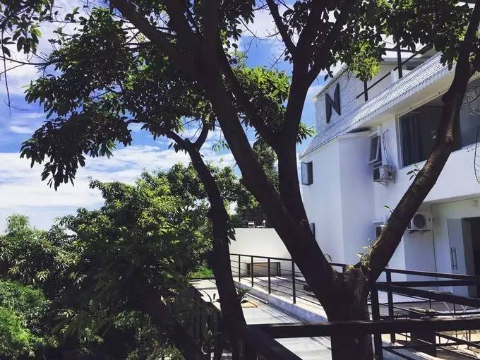 干货|从这些重庆小店路过，瞬间治愈蓝瘦香菇