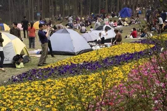 成都主题乐园推荐,成都新增的主题乐园