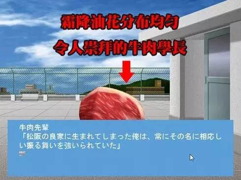 夭寿啦,夭寿啦小说