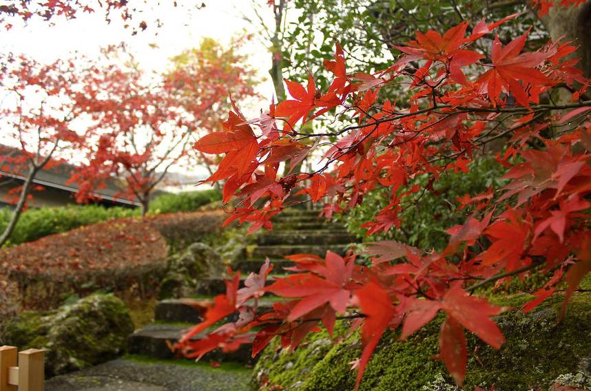 日本箱根泡温泉好吗,去日本箱根泡温泉一定要住酒店吗