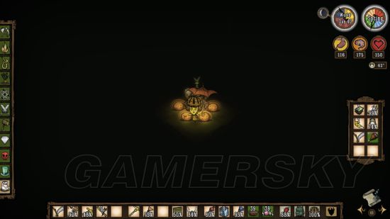 饥荒联机版攻略最详细教学,饥荒联机版芦苇有什么用