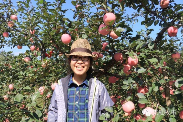 艾维wwoofer之：从艾维的世界路过