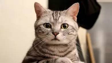 痛经真的能调理好吗,痛经有治愈的吗