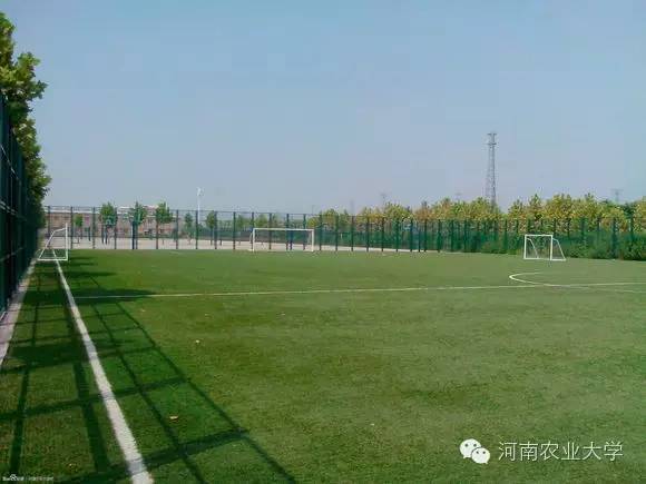 特别策划三分钟过后，农大小石榴马上开挂成老鸟！