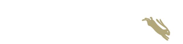 吃货二团子1.0｜理工大的那些美食，你吃过哪些？