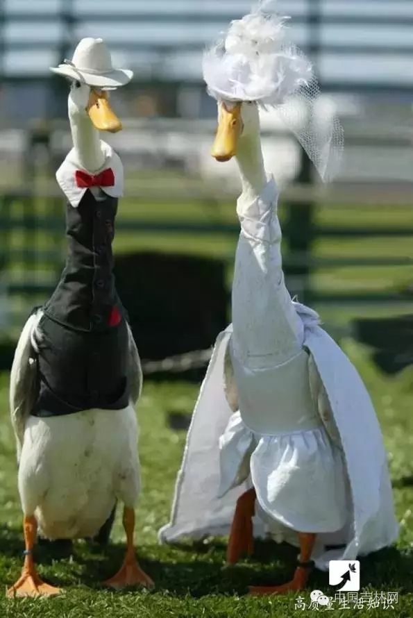 长春热企提前开栓供热,长春热企最新动态