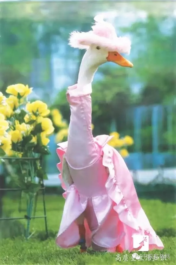 长春热企提前开栓供热,长春热企最新动态