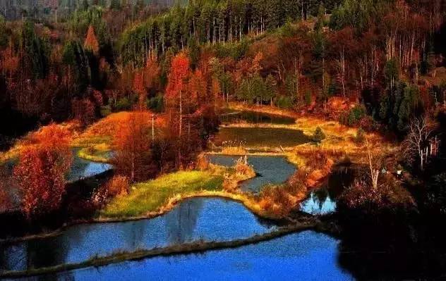 中国秋色最美的五个地方,邂逅国内各地绝美秋色