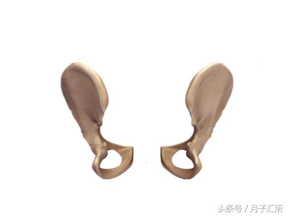 耻骨联合分离生完孩子多久能好,生完娃耻骨分离1.78厘米