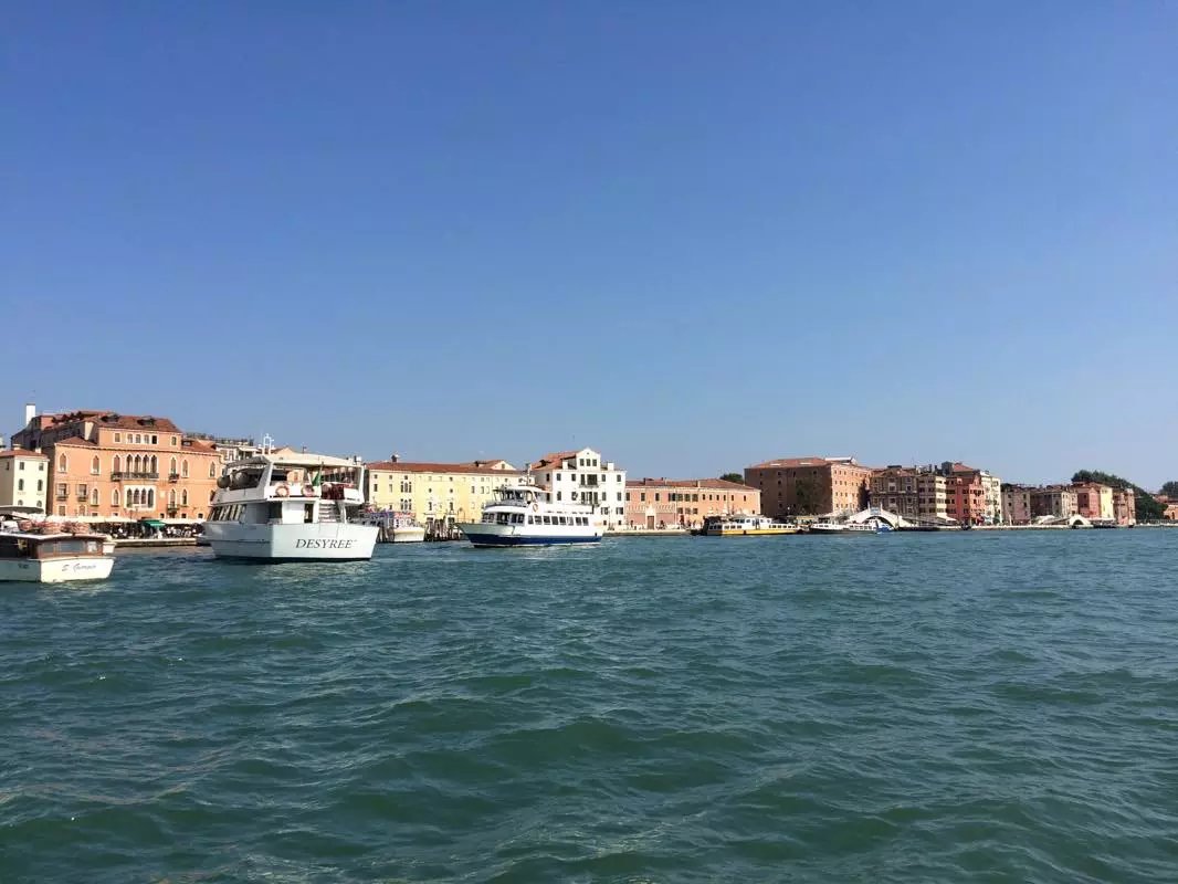 蓝瘦香菇在这里视频,蓝瘦香菇在法国