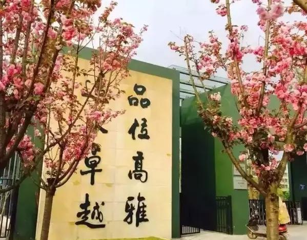 成都最土豪的学校,成都最贵私立学校最密集的区