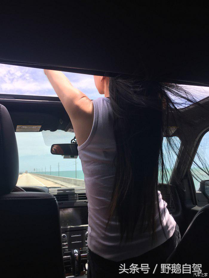 野鹅旅行,野鹅自驾无人区