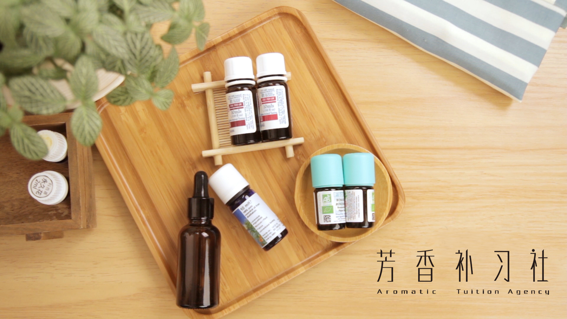 双11精油是什么油 (双11精油怎么买)