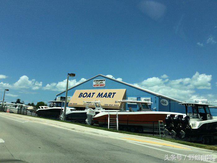 野鹅旅行,野鹅自驾无人区