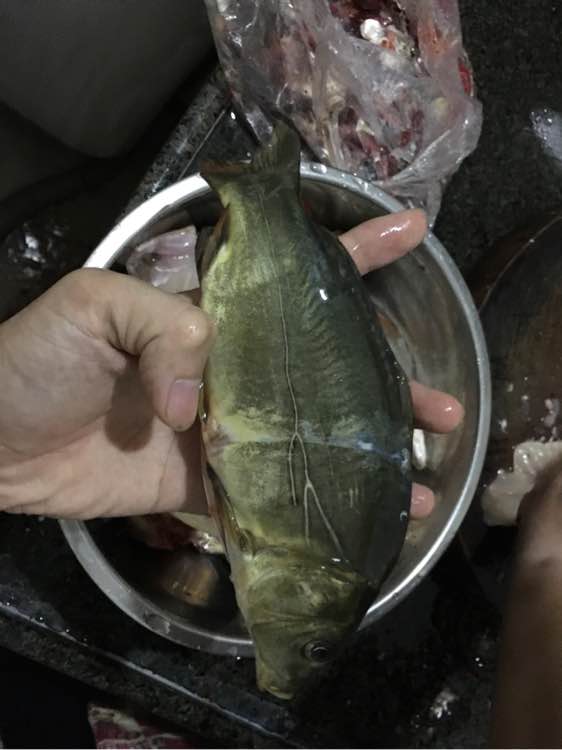 为什么野钓更舒服,为什么野钓要钓底