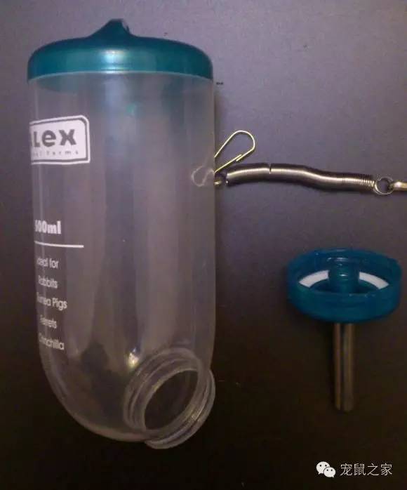 豚鼠各类饲养装备优缺点汇总之上篇