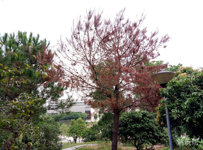 魅蓝max手机详细参数,魅蓝max边框拆解