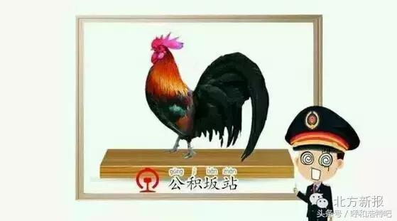 外地人对呼市的印象,呼市人被叫做什么