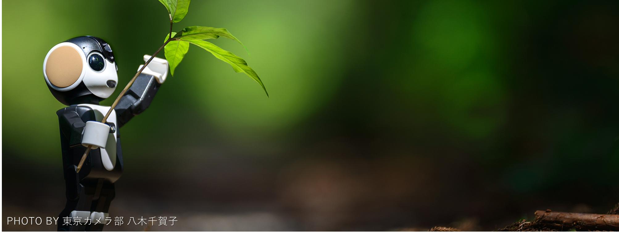 萌萌哒的履带机器人,科技感十足的机器人2.0