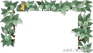 素食者膳食指南,素食者膳食指南完整版