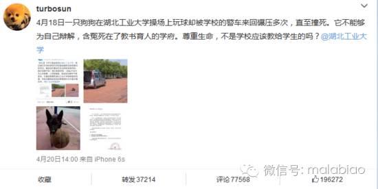 孙俪剧组惹争议回应,孙俪投诉建筑工地半夜施工扰民