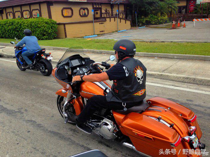 野鹅旅行,野鹅自驾无人区