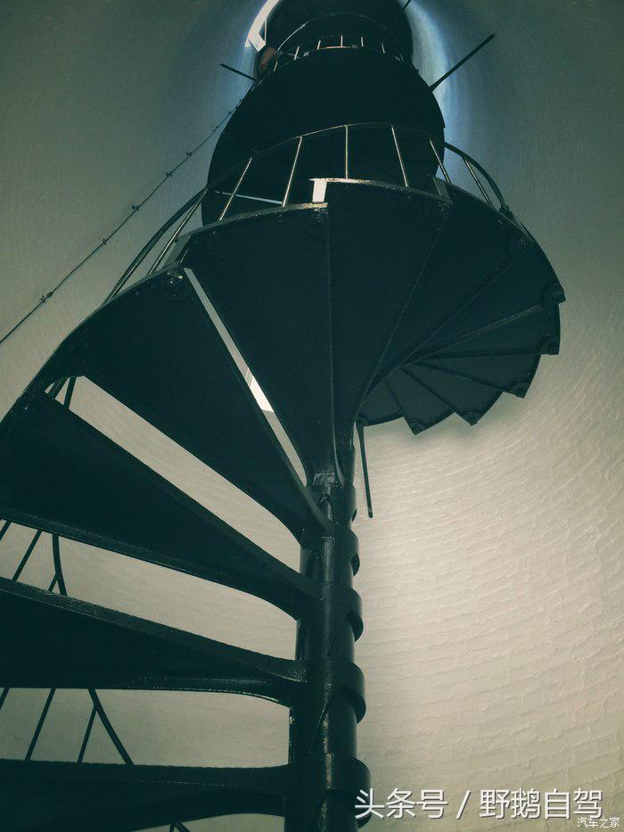 野鹅旅行,野鹅自驾无人区