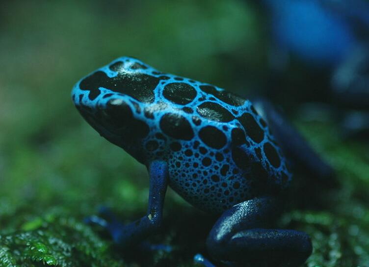 双红会vs曼城,双红会胜其他是哪场