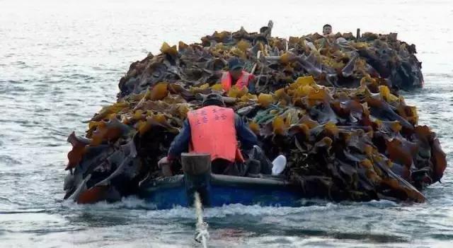 秦始皇长岛,蓬莱仙岛秦始皇