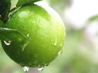 安神助眠的水果排行榜,失眠者最适合吃这六种助眠水果