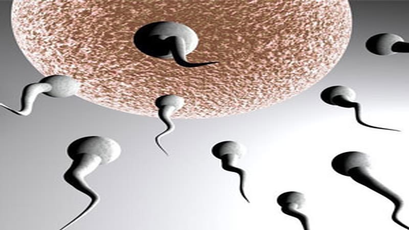 酸男辣女有依据吗,酸男碱女