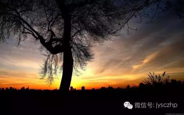 写给母亲的千古情,写给母亲的百封家书