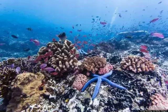 菲律宾小众海岛,菲律宾的海岛旅游