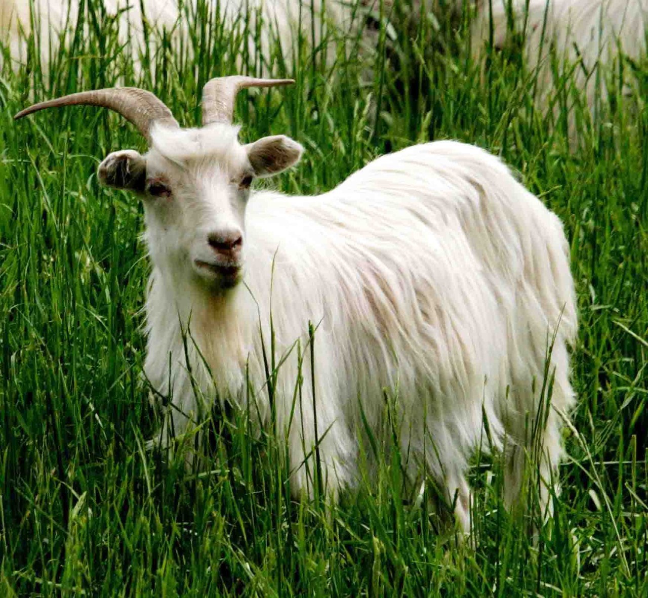 认识和识别质量问题,认识真假物品