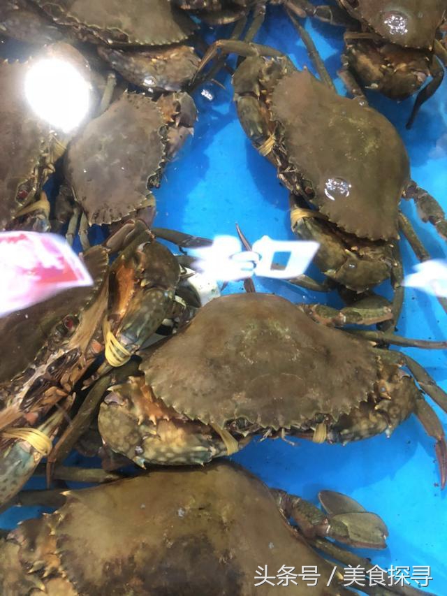 海口一座充满回忆的城市,海口的城市记忆