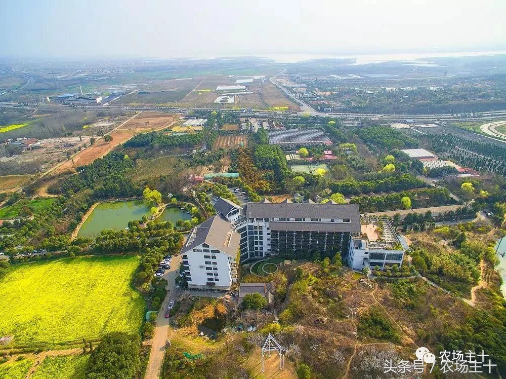 成功的休闲农庄需要具备哪些条件,做休闲农庄必须考虑的几个问题