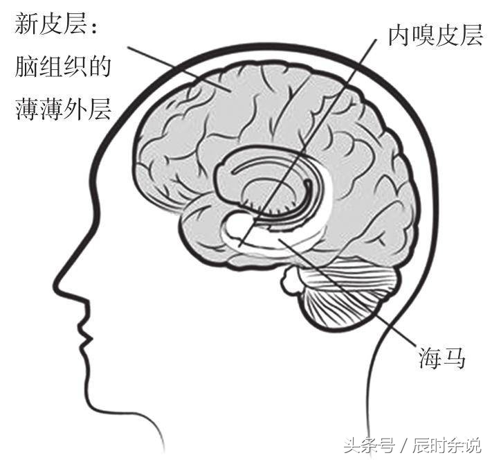 学习怎么找到正确的学习方法,怎样让孩子掌握正确的学习方法