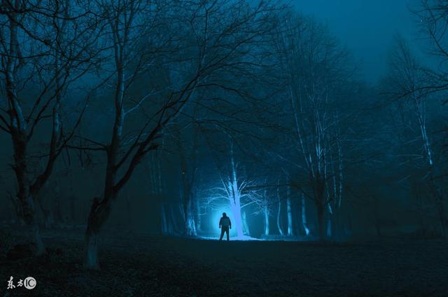 小说：那天晚上，在村口我看见狐狸背人借命，面色一变准备除害